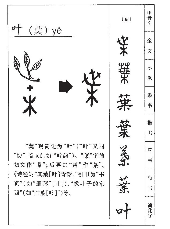 叶字字源