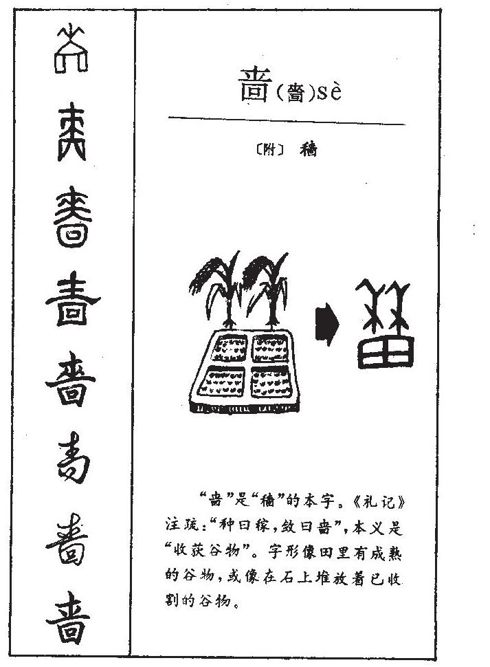 啬字字源