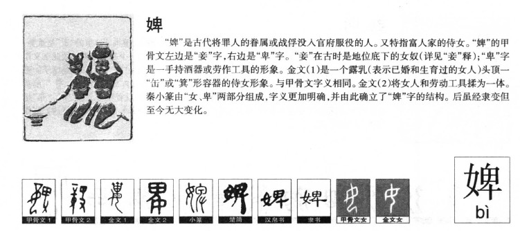 婢字字源