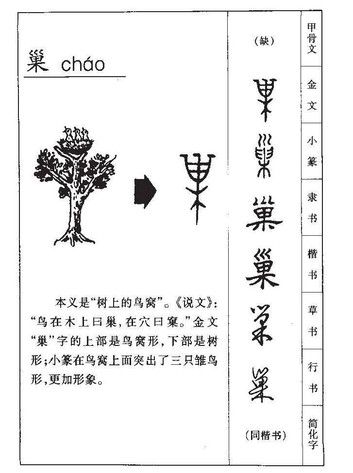 巢字字源