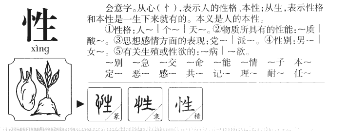 性字字源