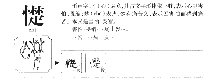 怵字字源