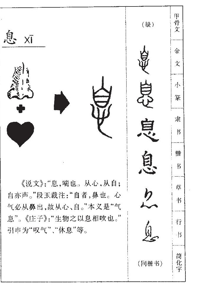 息字字源