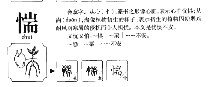 惴字字源