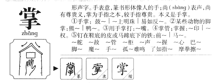 掌字字源