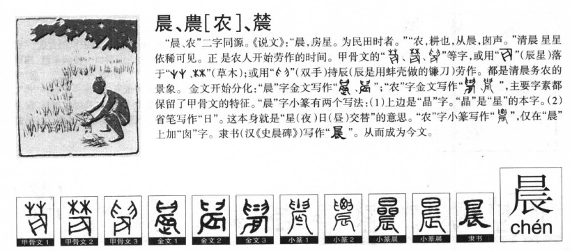 晨字字源