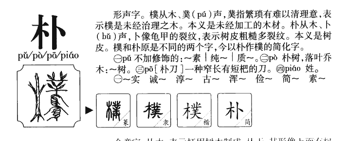 朴字字源