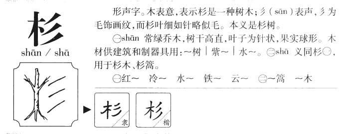 杉字字源