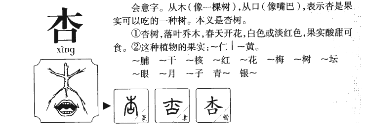 杏字字源