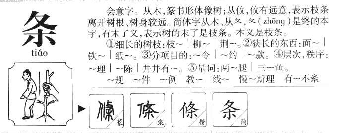 条字字源