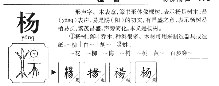 杨字字源