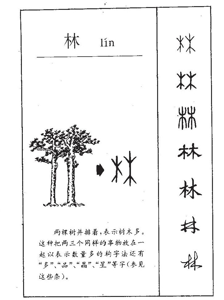林字字源