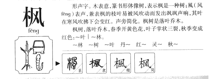 枫字字源