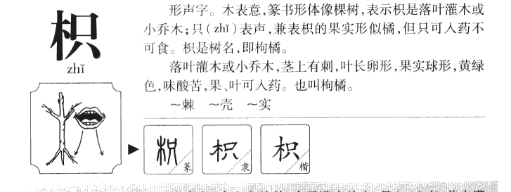枳字字源