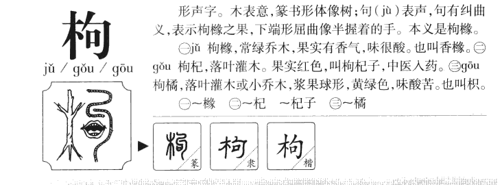 枸字字源