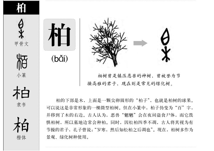 柏字字源