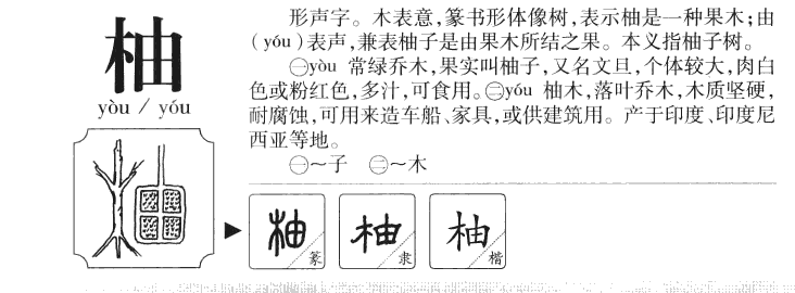 柚字字源