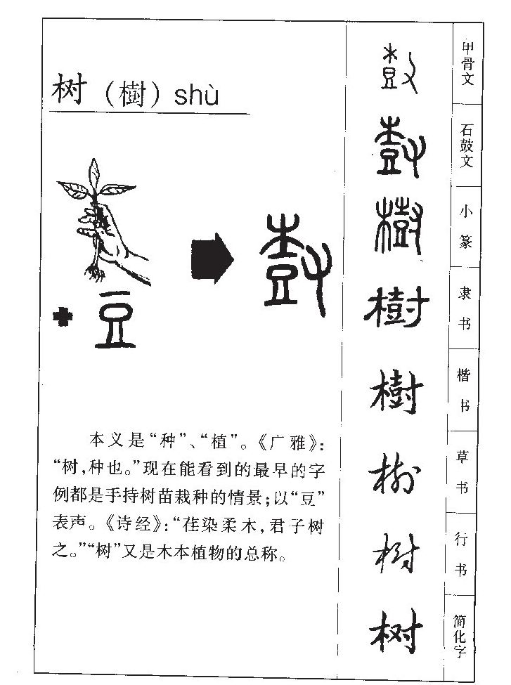 树字字源