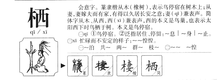 栖字字源