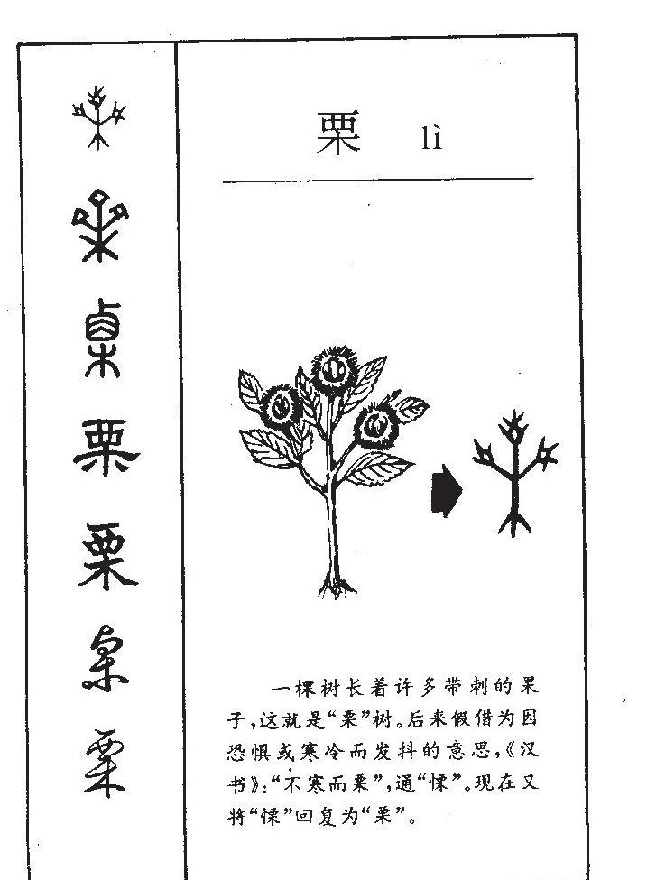 栗字字源