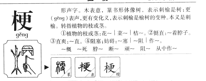 梗字字源