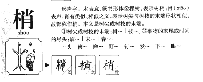 梢字字源