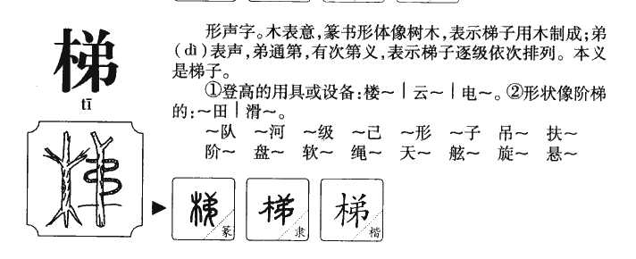 梯字字源