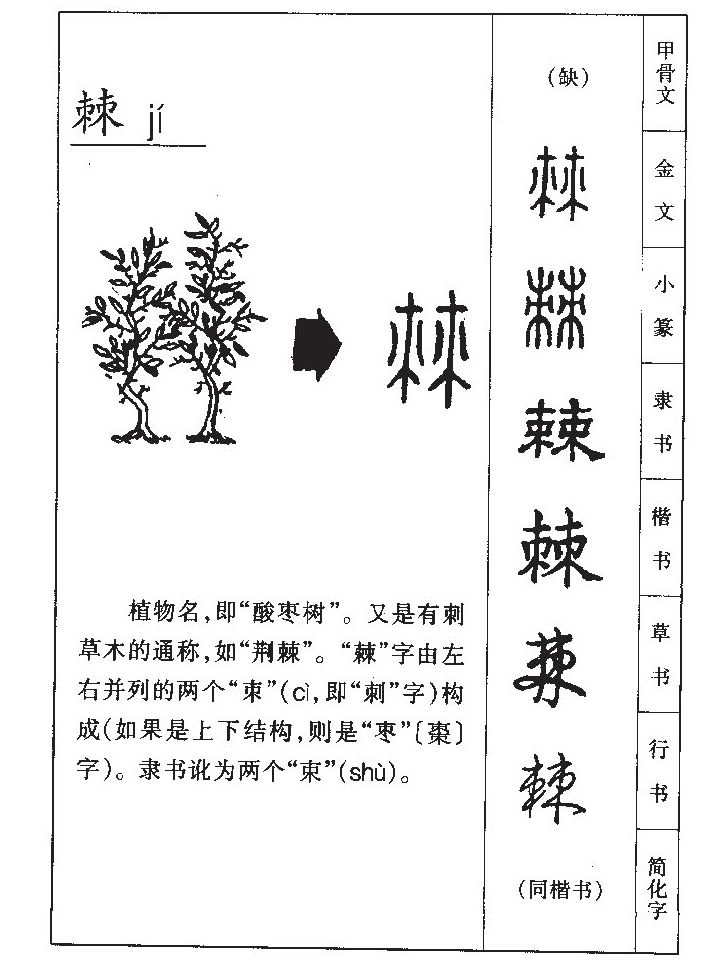 棘字字源