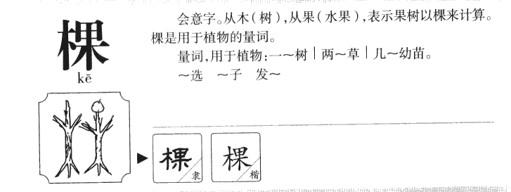 棵字字源