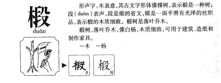 椴字字源