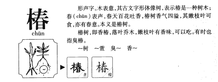 椿字字源