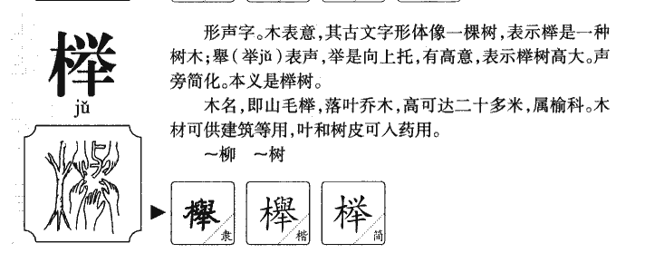 榉字字源