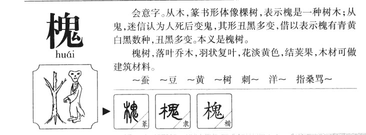 槐字字源