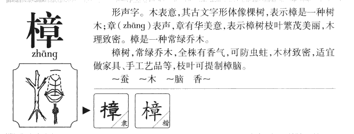 樟字字源
