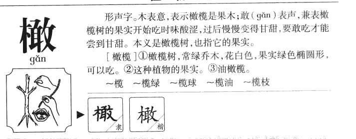 橄字字源