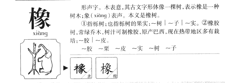 橡字字源