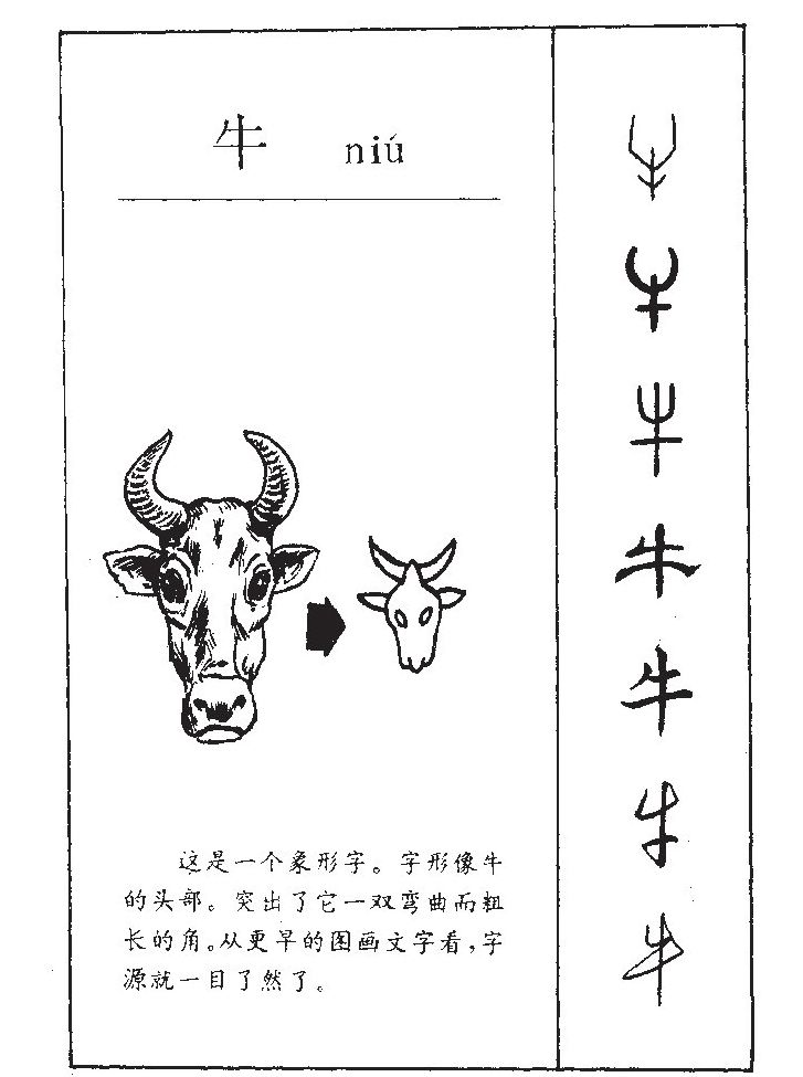 牛字字源