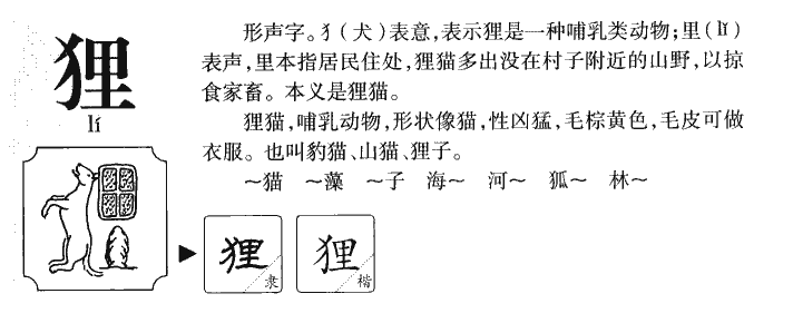 狸字字源
