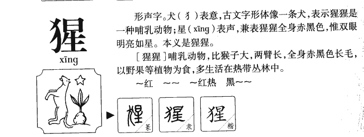 猩字字源