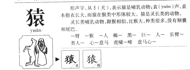 猿字字源