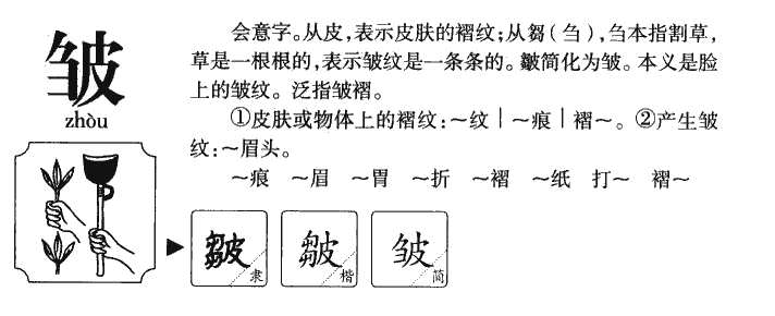 皱字字源