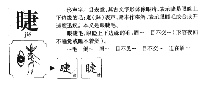 睫字字源