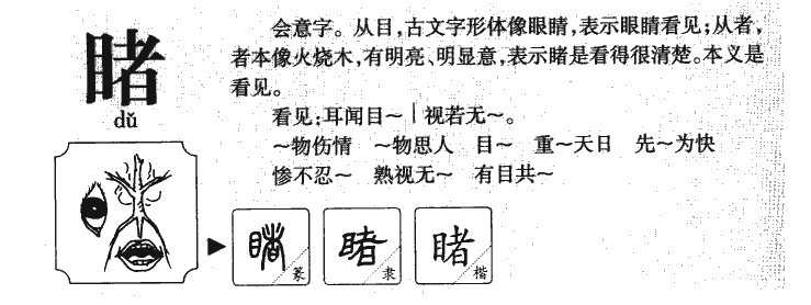 睹字字源