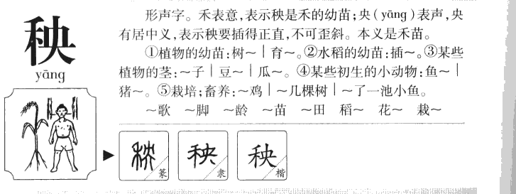 秧字字源