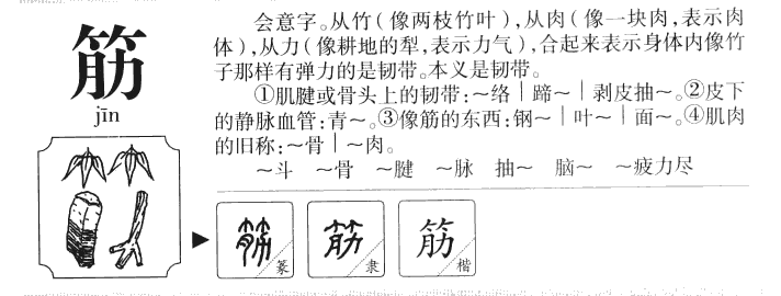 筋字字源