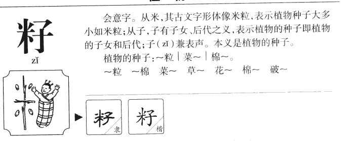籽字字源
