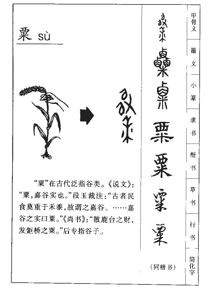 粟字字源