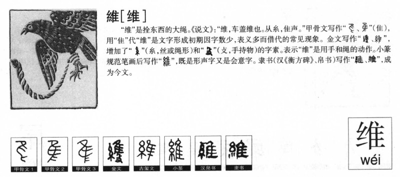 维字字源