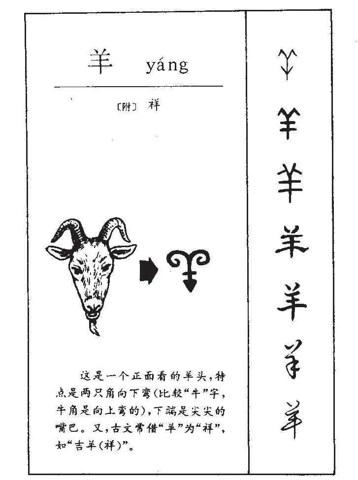 羊字字源