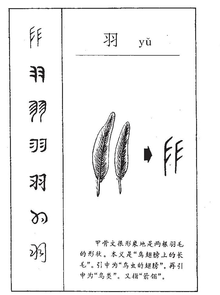 羽字字源